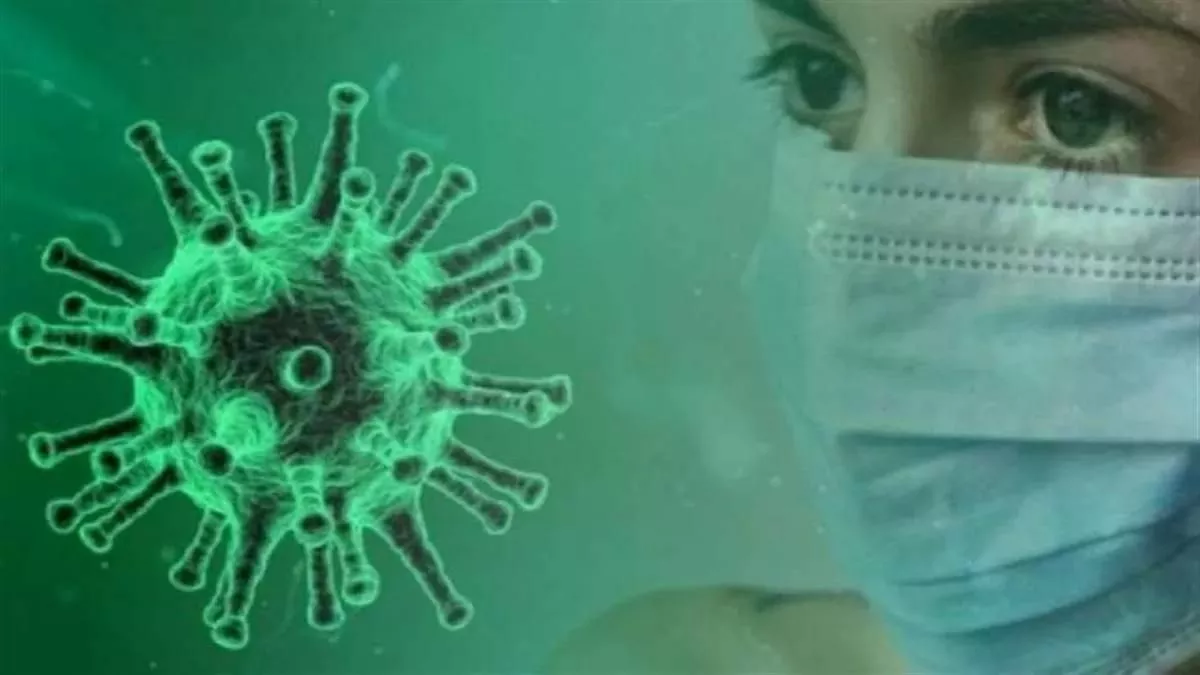 Corona Virus