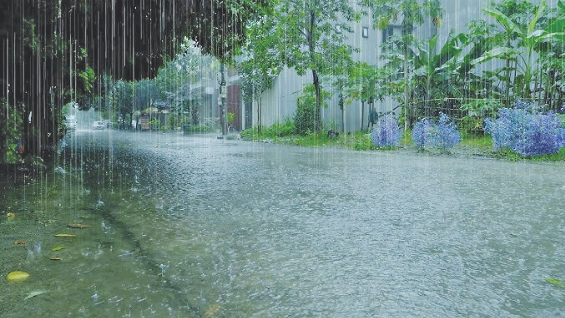 Monsoon 2025