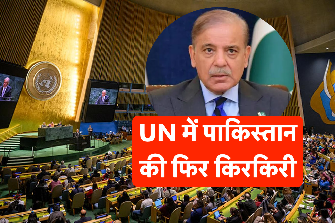 UN में पाकिस्तान की फिर किरकिरी